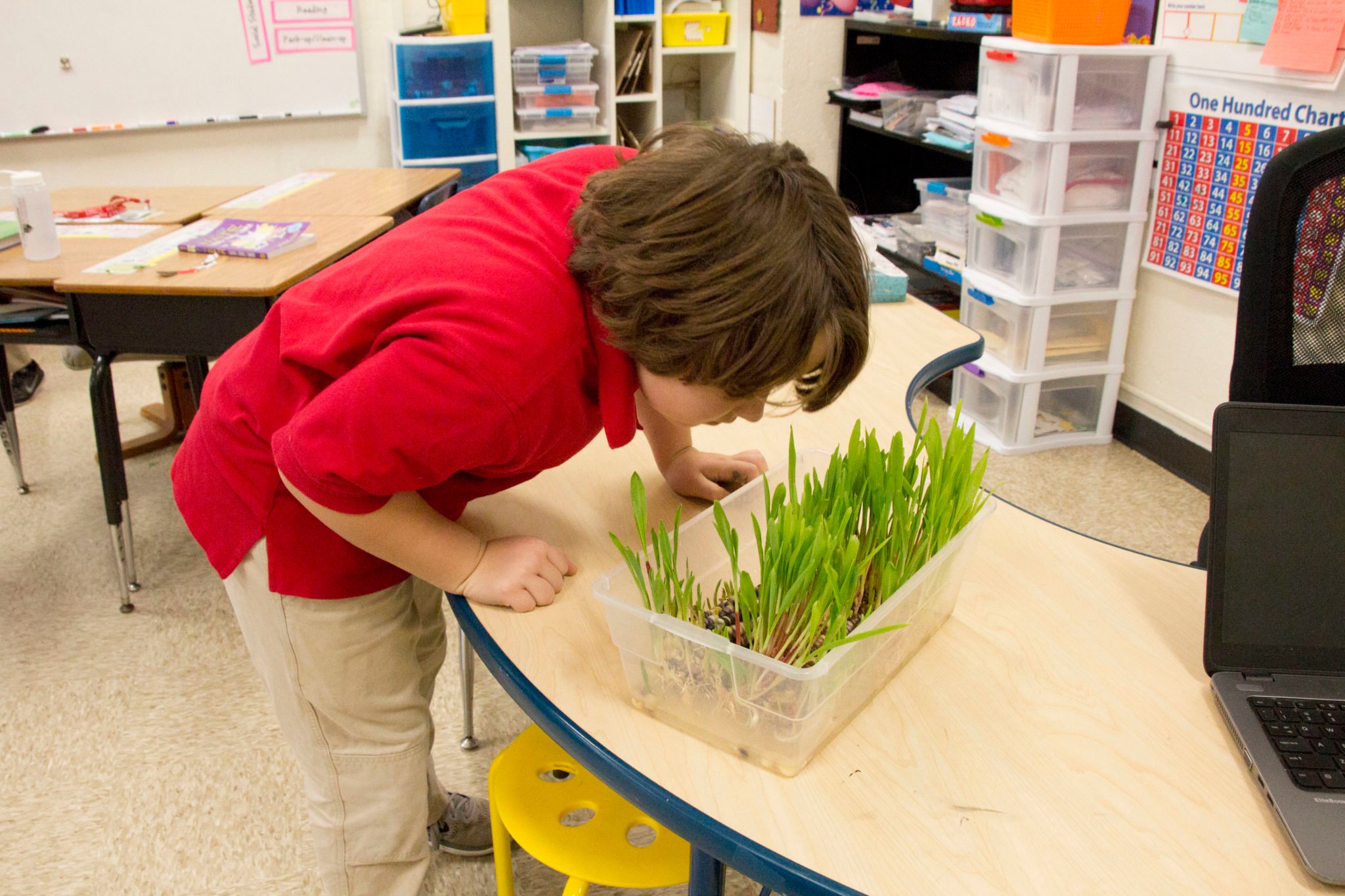 2nd grade experiment